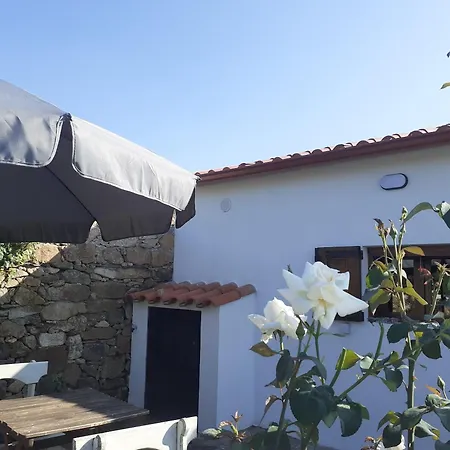 Charming House In With Mountain View And Fenced Garden *